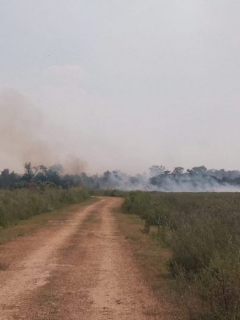 Incendios en dos portales del Iberá: el viento y la falta de caminos complica la situación

