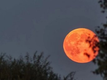 Luna roja o Luna de lobo: ¿De qué se trató este fenómeno astrológico?