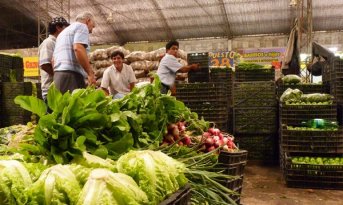 Preocupante situación entre productores frutihortícolas por los insumos a precio dólar