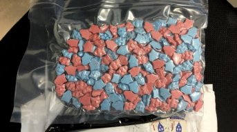 Secuestraron más de 1500 pastillas de éxtasis provenientes de Holanda
