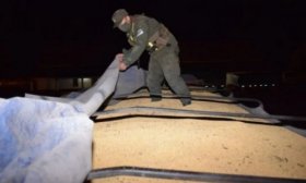 Corrientes: investigan a gendarmes acusados de facilitar el contrabando de soja a Brasil
