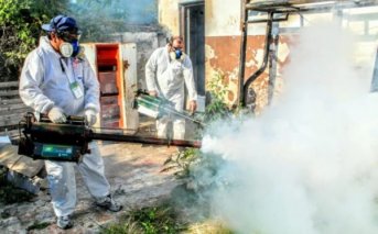 Detectaron 8.000 casos de dengue y más de 500 de chikungunya en todo el país 
