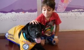 El Garrahan implementa por primera vez la terapia asistida con perros para pacientes internados