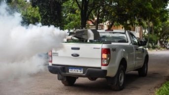Dengue en la Argentina: suman casi 270 mil casos y 197 muertes
