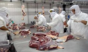 La produccin de carne bovina se redujo un 8% en el primer trimestre