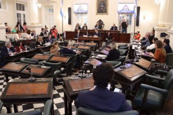 Diputados de Corrientes dieron media sanción al programa de protección a recién nacidos prematuros