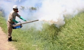Ascenso de casos de dengue: ms de 63.000 contagios y 31 muertos en la ltima semana
